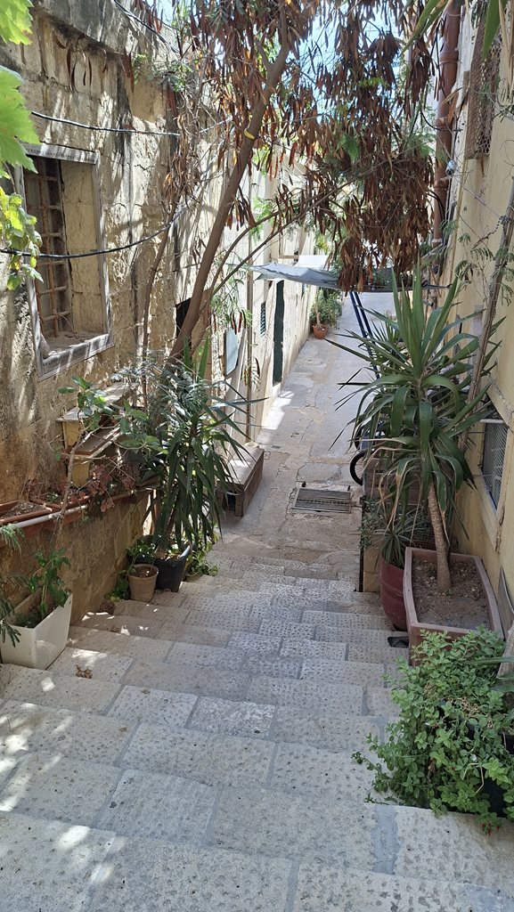 20250915 144742 (Copy)